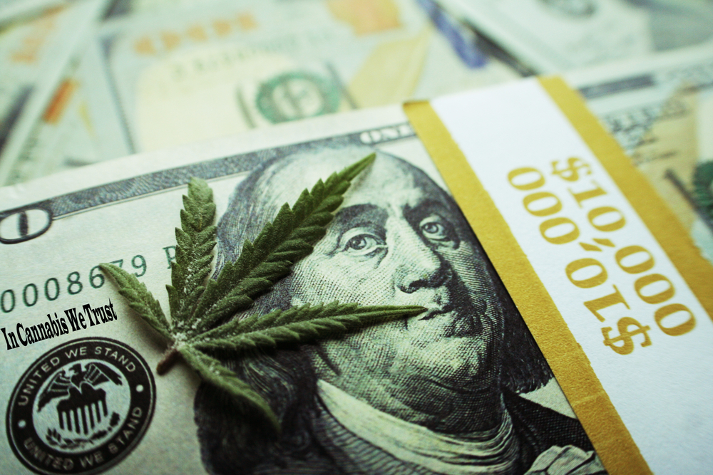 The Perfect Marijuana Stock